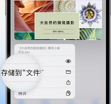 会昌apple维修中心分享iPhone文件应用中存储和找到下载文件