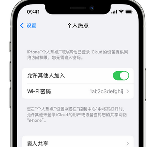 会昌apple服务站点分享iPhone上个人热点丢失了怎么办