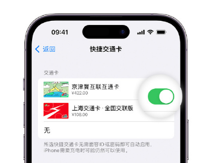 会昌apple维修点分享iPhone上更换Apple Pay快捷交通卡手绘卡面 