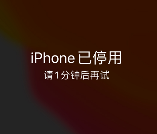 会昌苹果手机维修分享:iPhone 显示“不可用”或“已停用”怎么办？还能保留数据吗？ 