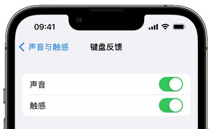 会昌苹果手机维修分享iPhone 14触感键盘使用方法 