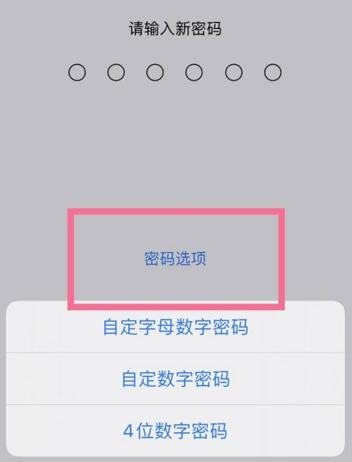 会昌苹果14维修分享iPhone 14plus设置密码的方法 